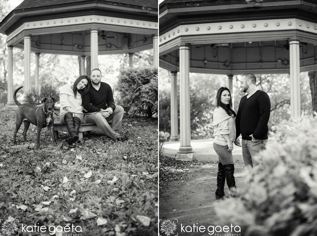 "Katie Gaeta Photography", "Family Photography", "Pet Photography", "St. Louis Family Photography", "Family", "Fur Baby", Dog