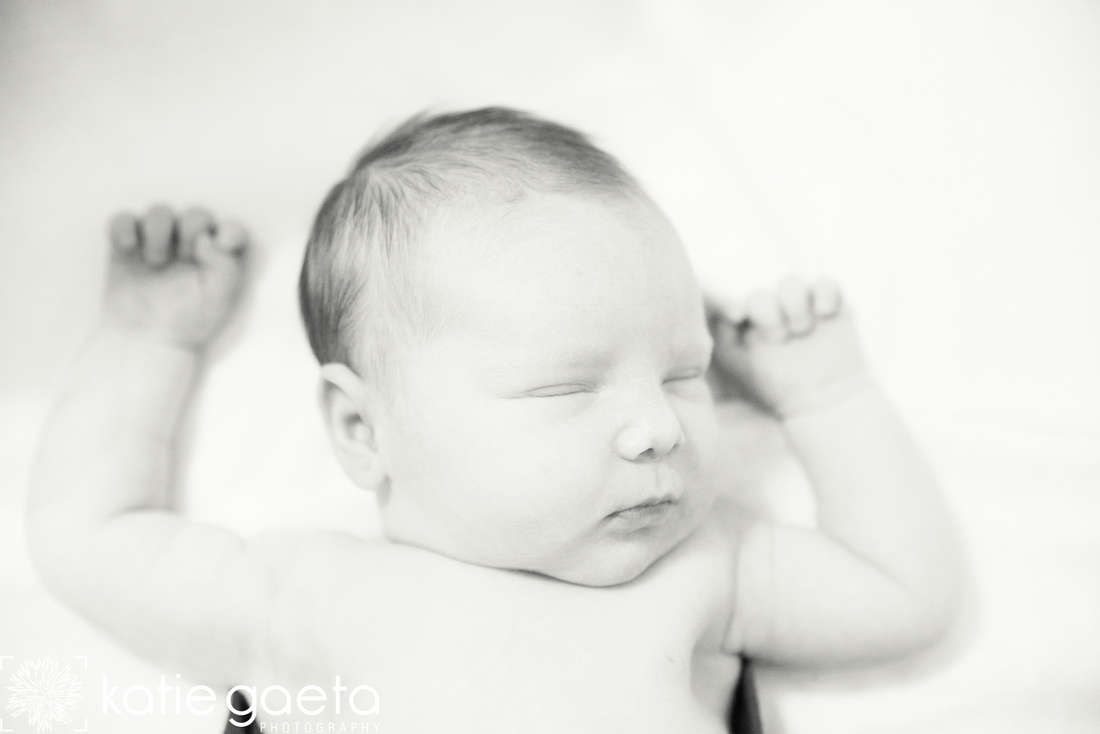 St. Louis Katie Gaeta Photography Newborn Photo Session