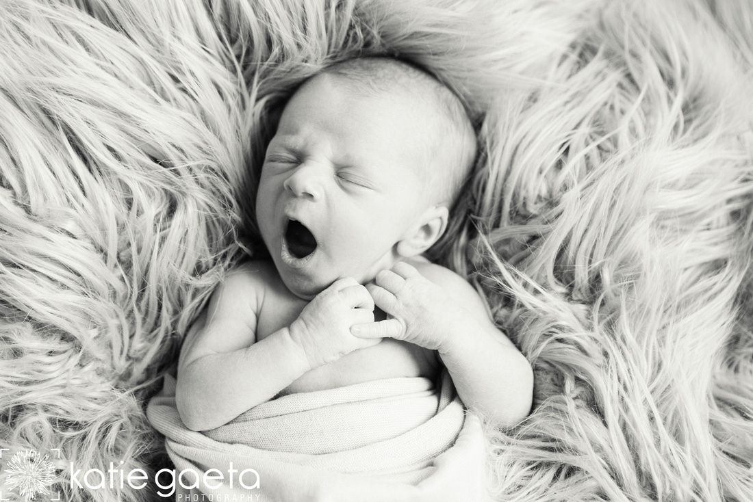 St. Louis Katie Gaeta Photography Newborn Session