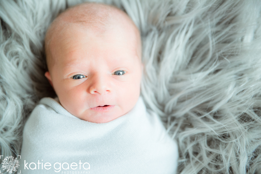 St. Louis Katie Gaeta Photography Newborn Session
