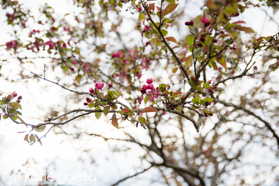 Katie Gaeta Photography St. Louis MO Lifestyle Jefferson Barracks Park